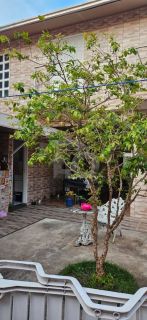 Casa Para Vender com 5 quartos 2 suítes no bairro Atalaia em Aracaju