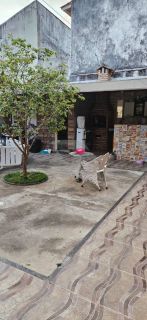 Casa Para Vender com 5 quartos 2 suítes no bairro Atalaia em Aracaju