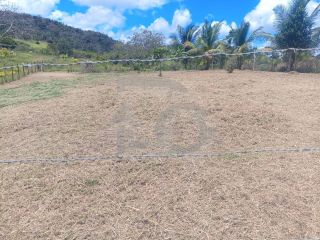 Lote / Terreno de Bairro Para Vender no bairro Sapé em Itaporanga Dajuda