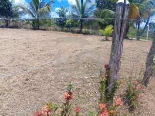 Lote / Terreno de Bairro Para Vender no bairro Sapé em Itaporanga Dajuda