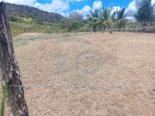 Lote / Terreno de Bairro Para Vender no bairro Sapé em Itaporanga Dajuda