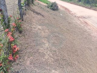 Lote / Terreno de Bairro Para Vender no bairro Sapé em Itaporanga Dajuda