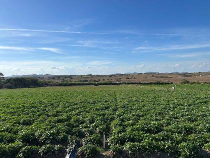 SÍTIO POV. SERRINHA - RIBEIRÓPOLIS