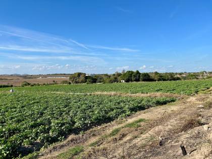 SÍTIO POV. SERRINHA - RIBEIRÓPOLIS
