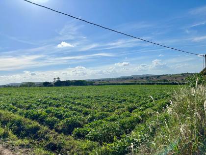 SÍTIO POV. SERRINHA - RIBEIRÓPOLIS