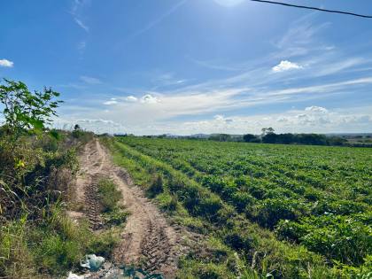 SÍTIO POV. SERRINHA - RIBEIRÓPOLIS