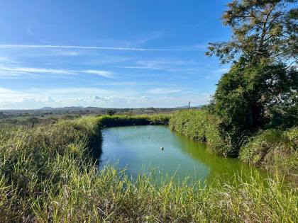 SÍTIO POV. SERRINHA - RIBEIRÓPOLIS