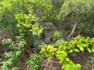 Lote / Terreno de Bairro Para Vender no bairro Farolândia em Aracaju
