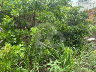 Lote / Terreno de Bairro Para Vender no bairro Farolândia em Aracaju