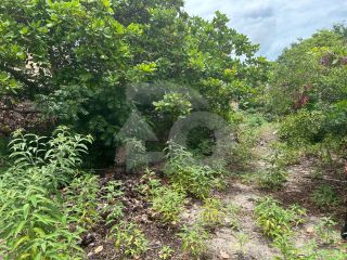 Lote / Terreno de Bairro Para Vender no bairro Farolândia em Aracaju