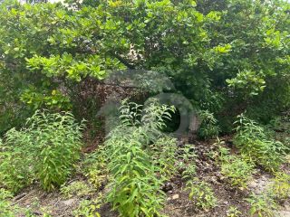 Lote / Terreno de Bairro Para Vender no bairro Farolândia em Aracaju