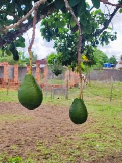 Chácara Para Vender com 4 quartos 3 suítes no bairro Gravatá em Itaporanga D\'ajuda