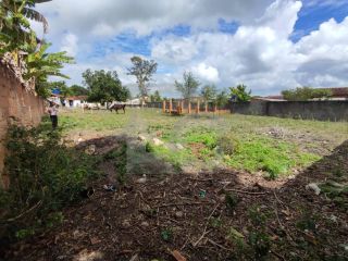 Chácara Para Vender com 4 quartos 3 suítes no bairro Gravatá em Itaporanga D\'ajuda