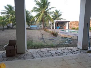 Chácara Para Vender com 03 quartos 1 suítes no povoado Abais em Itaporanga Dajuda