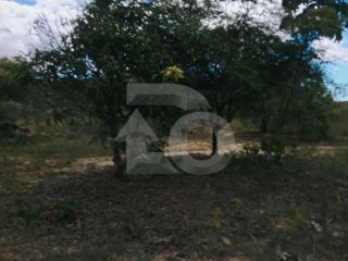 Lote/Terreno de Bairro Para Vender no Bairro Abaís em Estância