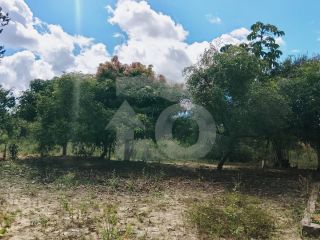Lote/Terreno de Bairro Para Vender no Bairro Abaís em Estância