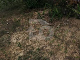 Lote/Terreno de Bairro Para Vender no Bairro Abaís em Estância