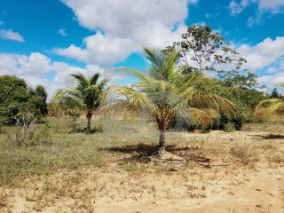 Lote/Terreno de Bairro Para Vender no Bairro Abaís em Estância