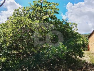 Lote/Terreno de Bairro Para Vender no Bairro Abaís em Estância