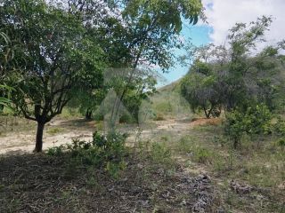 Lote/Terreno de Bairro Para Vender no Bairro Abaís em Estância