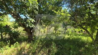 Chácara para Vender com 6 Quartos, sendo 2 Suítes no Bairro Divineia em São Cristóvão