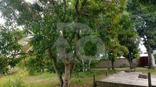 Chácara Para Vender com 4 Quartos, sendo 4 Suítes no Bairro Sobrado em Nossa Senhora do Socorro.