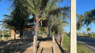 Chácara para vender com 2 Quartos no Bairro Gravatá em Itaporanga D'ajuda