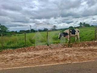 Terreno para vender no Bairro Centro em Cumbe/SE