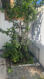 Casa Para Vender com 3 quartos 1 suítes no bairro Fernando Collor em Nossa Senhora Do Socorro