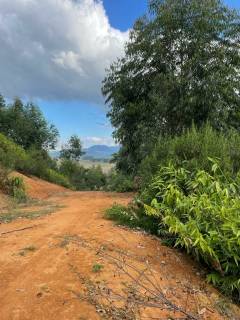 Terreno à venda no bairro Nova Descoberta - Tijucas/SC