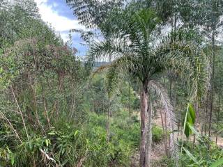 Terreno à venda no bairro Nova Descoberta - Tijucas/SC