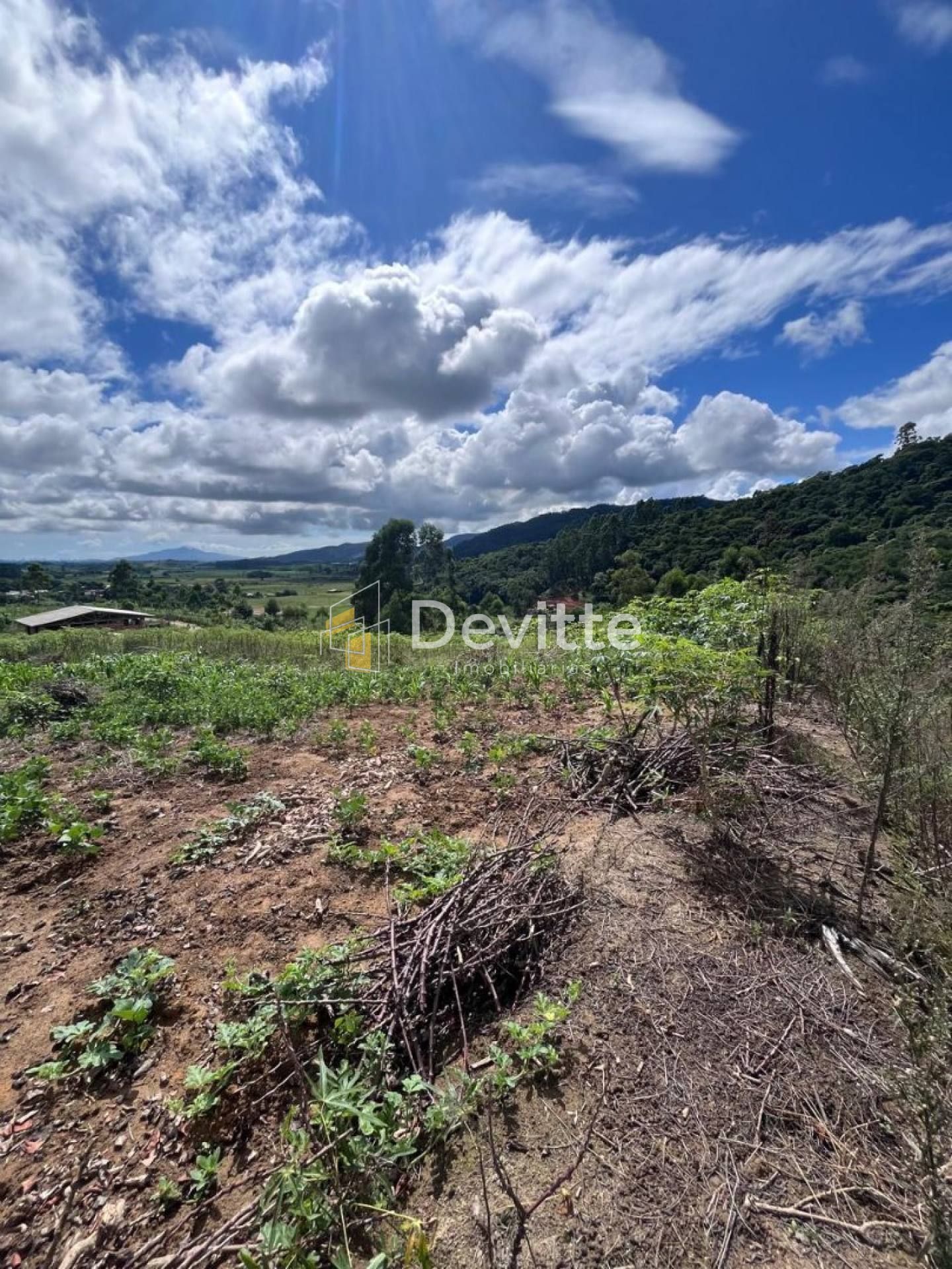 SÍTIO Á VENDA NO TIMBÉ