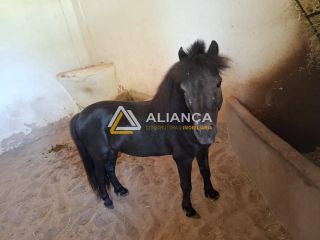 LOTE À VENDA  NO CONDOMÍNIO HARAS RESIDENCE NO BAIRRO ALDEIA EM SÃO CRISTÓVÃO!