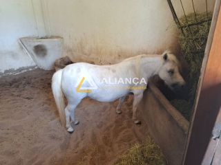 LOTE À VENDA  NO CONDOMÍNIO HARAS RESIDENCE NO BAIRRO ALDEIA EM SÃO CRISTÓVÃO!