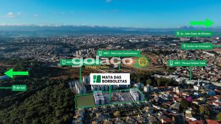 Mata das borboletas 