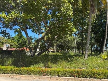 Lote / Terreno Comercial Para Vender em Maragogi, Praia do Mangue.												<<< Selecione uma Cidade em 													<<< Selecione um Estado