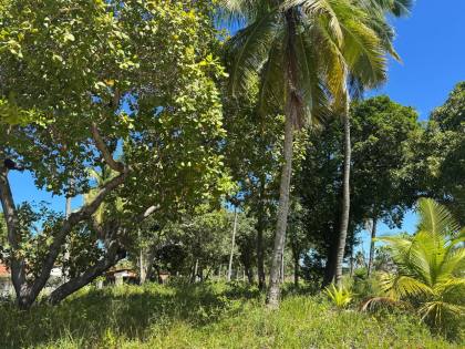 Lote / Terreno Comercial Para Vender em Maragogi, Praia do Mangue.												<<< Selecione uma Cidade em 													<<< Selecione um Estado