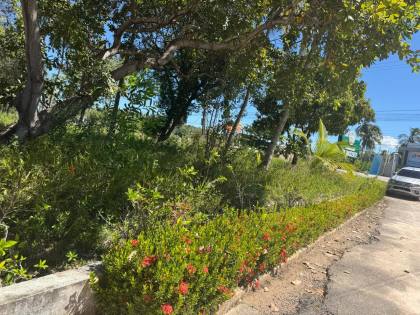 Lote / Terreno Comercial Para Vender em Maragogi, Praia do Mangue.												<<< Selecione uma Cidade em 													<<< Selecione um Estado