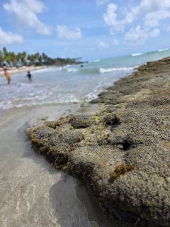 Condomínio No mar