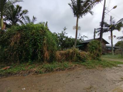TERRENO COM CASA DE MADEIRA