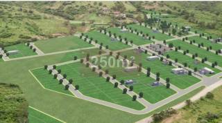 Terreno à venda, 250 m² em Serra Negra/PE