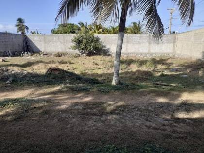 LOTE EM VIA PÚBLICA
