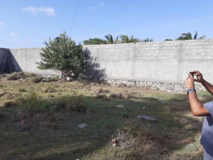 LOTE EM VIA PÚBLICA