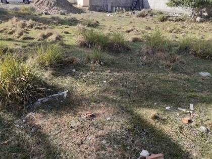 LOTE EM VIA PÚBLICA