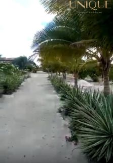 Sítio em Poço redondo