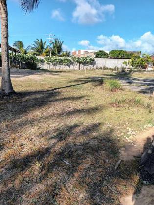 Lotes na Aruana