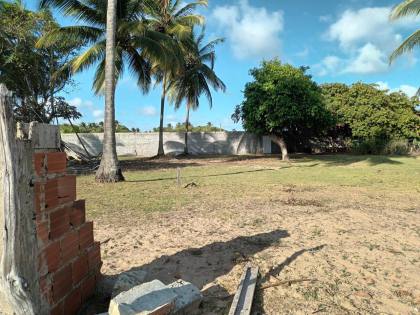Lotes na Aruana