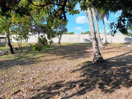 Lotes na Aruana