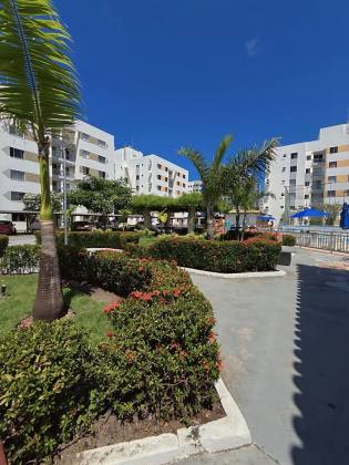 Mar de Aruana 2