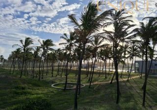 Lote no Villaredo Barra